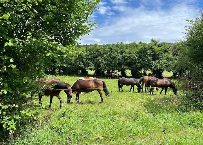 La Folie Douce Διαμέρισμα Hotton